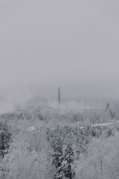 A tranquil winter scene featuring a snow-covered forest and distant chimney under overcast skies.