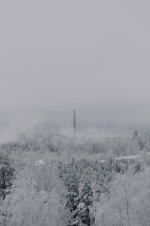 Free A tranquil winter scene featuring a snow-covered forest and distant chimney under overcast skies. Stock Photo