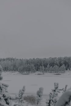 A peaceful winter scene featuring a frozen lake surrounded by a snow-covered forest.