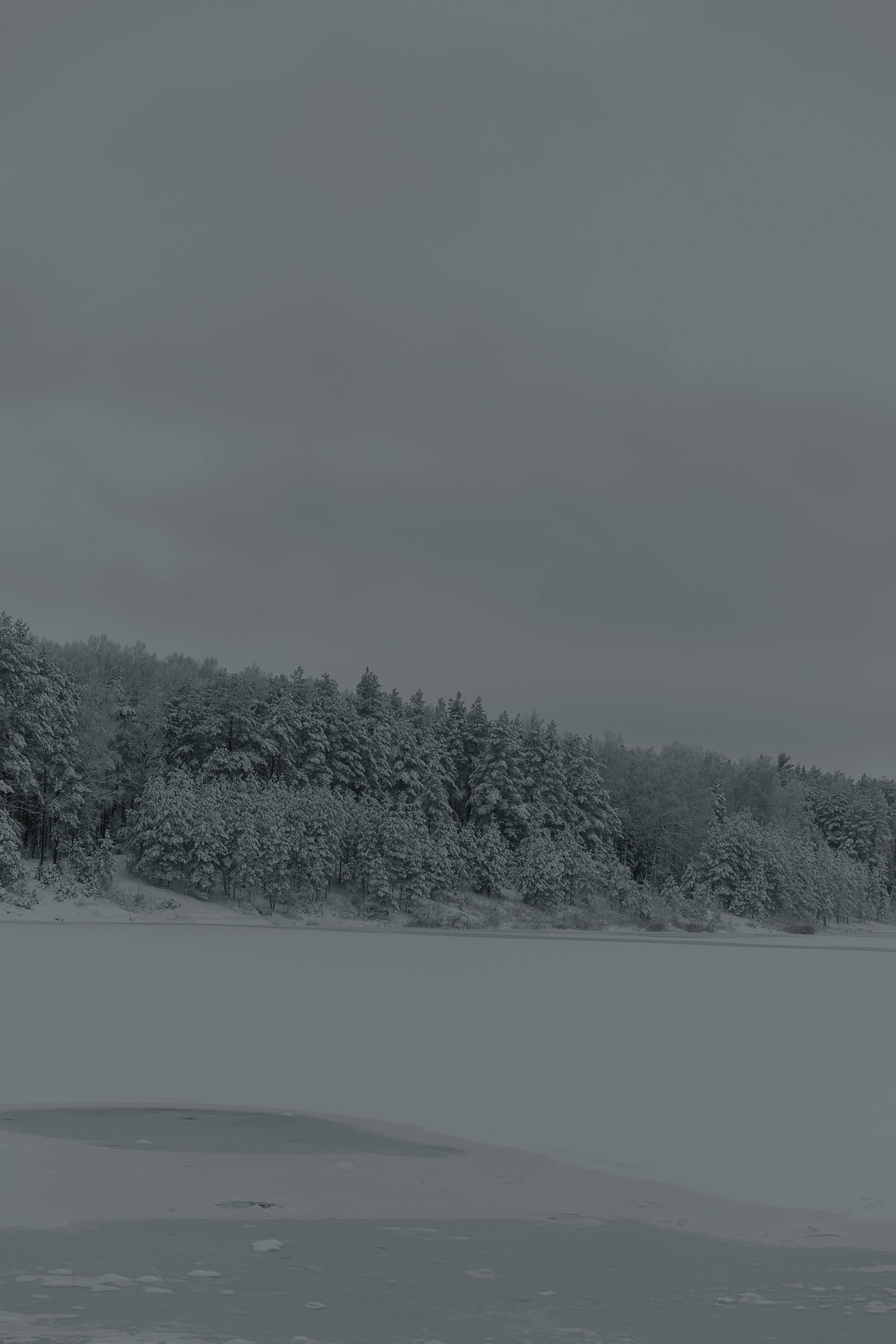 Kostnadsfria Kostnadsfri bild av avlägsen, avslappnat, fotografi Stock foto