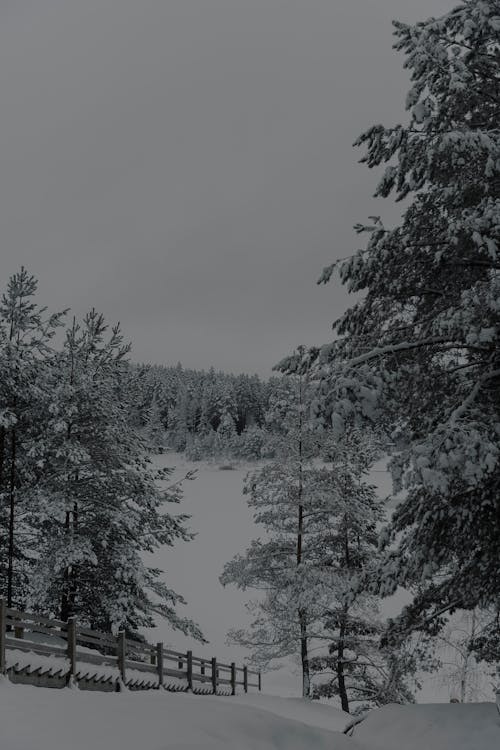 Stairs to Frozen Lake in Winter