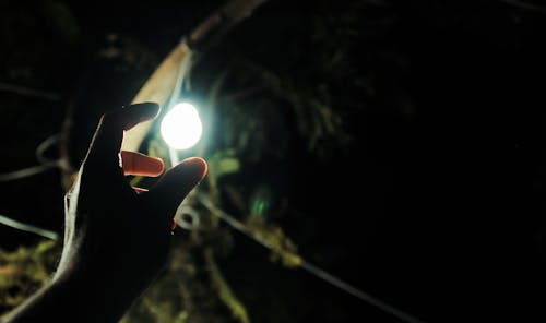 Photo of Man Reaching Light Bulb