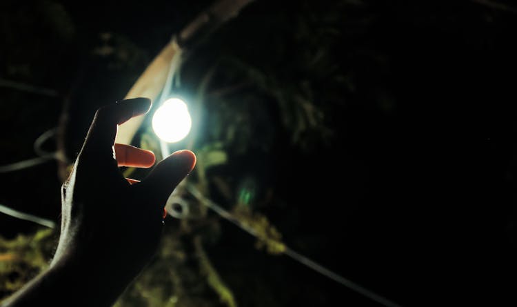 Photo Of Man Reaching Light Bulb