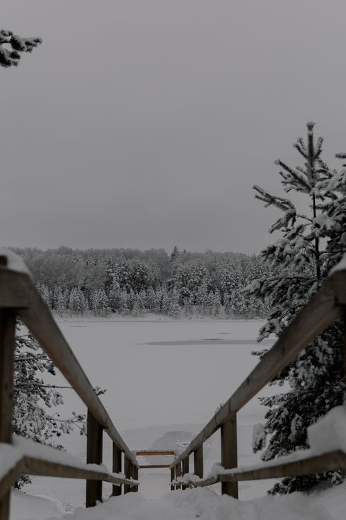 Free Tranquil snowy wooden footpath leading through a winter forest to a frozen lake. Stock Photo
