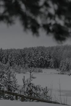 A tranquil snowy forest landscape with a frozen lake, perfect for winter themes.