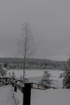 A peaceful snow-covered landscape featuring trees and a frozen lake under overcast skies.