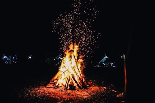 免费 晚上篝火晚会 素材图片