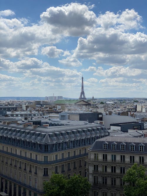 High Angle View of Paris and Eiffel Tower 