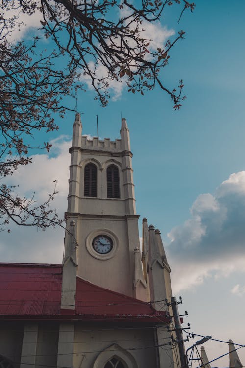 Free stock photo of blossom flora, catholic church, church