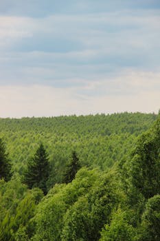 Image by Кирилл Абрамов