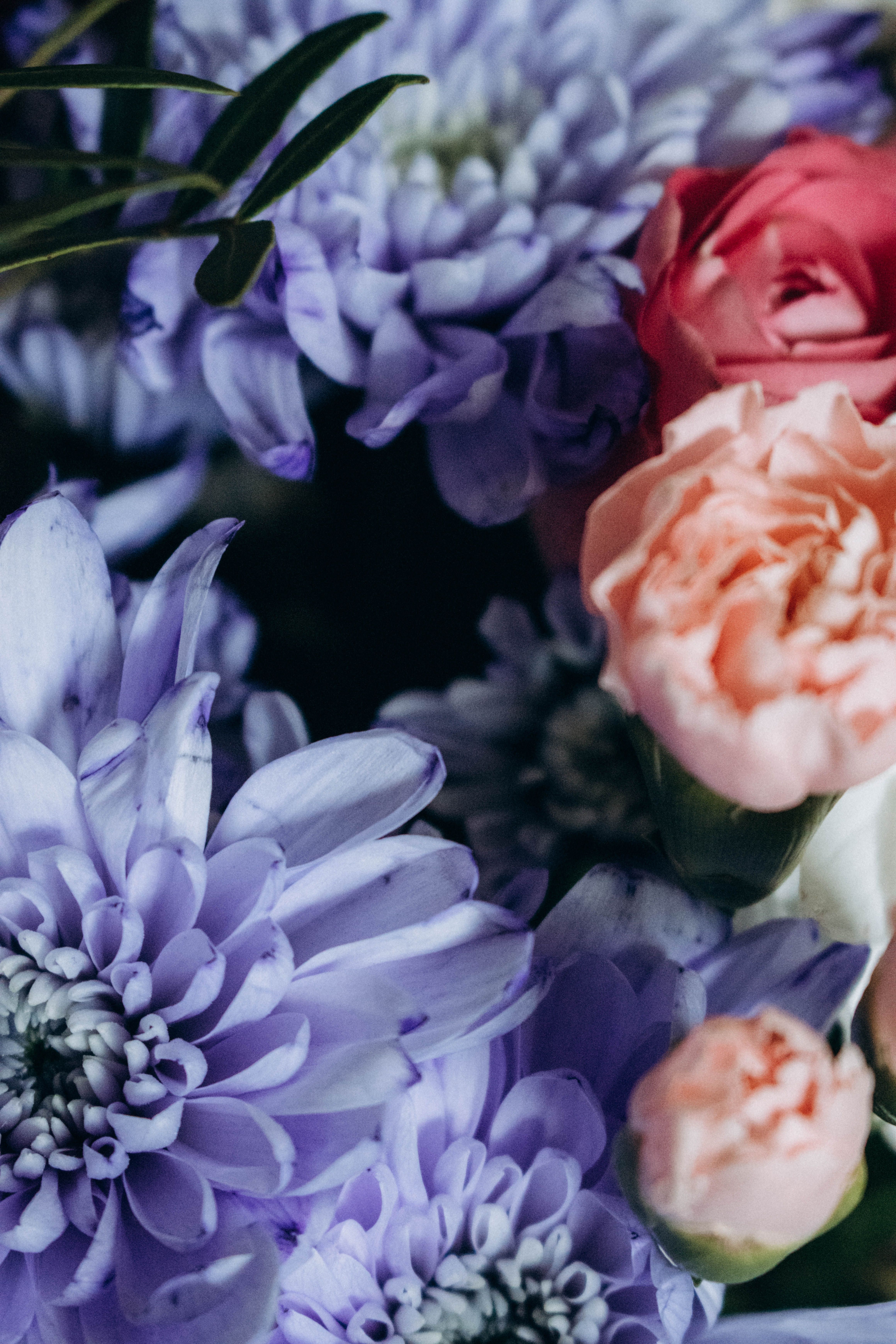 [ColoSach]-close-up-of-a-colorful-bouquet-featuring-purple-and-pink-florals-with-lush-green-leaves.