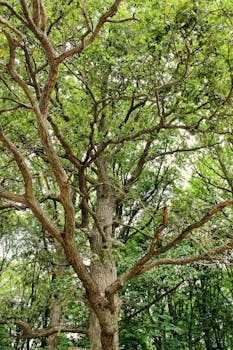 Image by Кирилл Абрамов