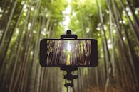 智能手机捕捉到郁郁葱葱的绿色竹林，凸显了技术与自然的交融之美