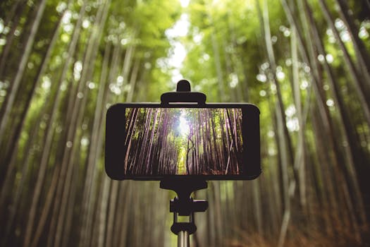 智能手机捕捉到郁郁葱葱的绿色竹林，凸显了技术与自然的交融之美