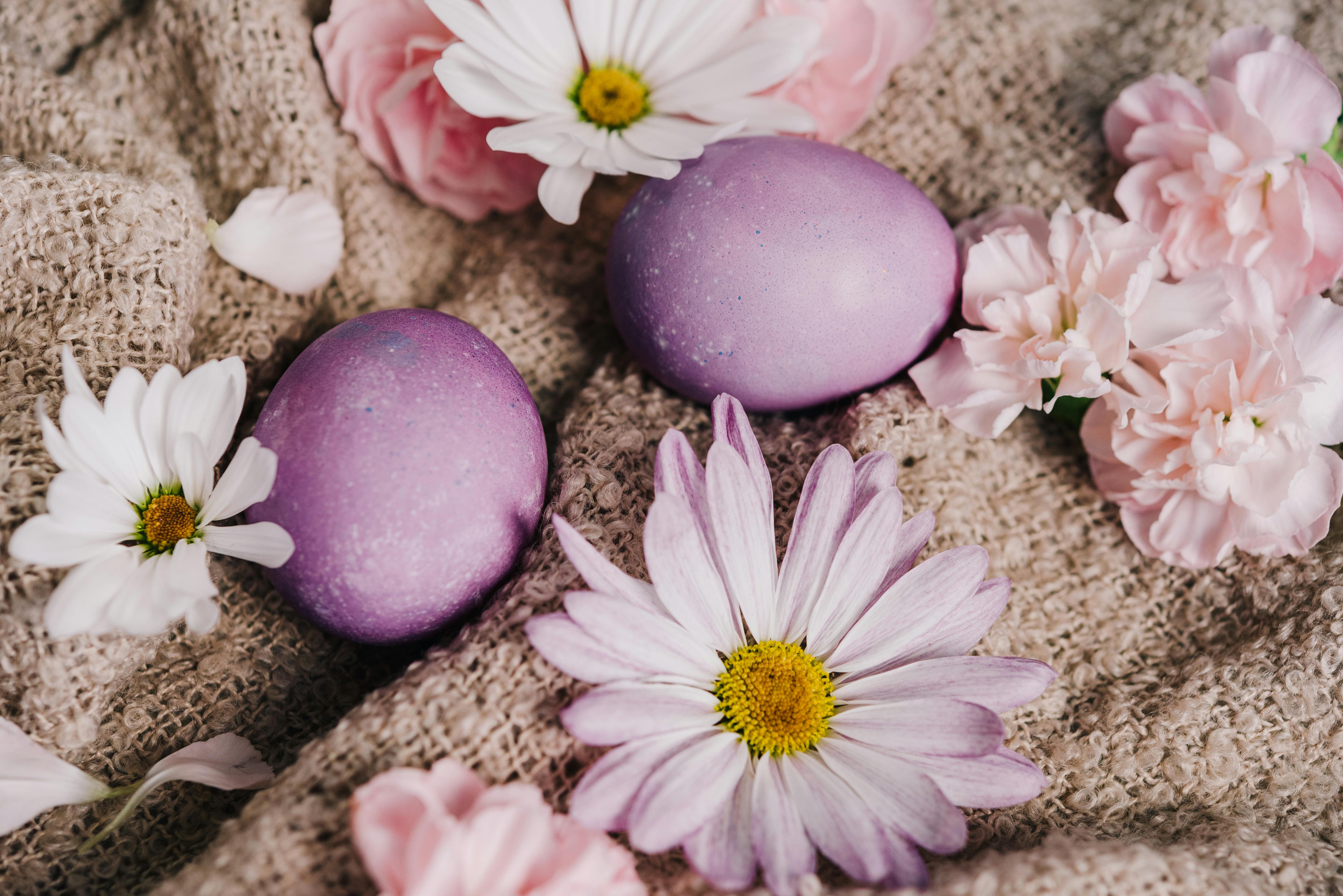 Purple Easter eggs and pastel flowers arranged on burlap fabric for a spring vibe.