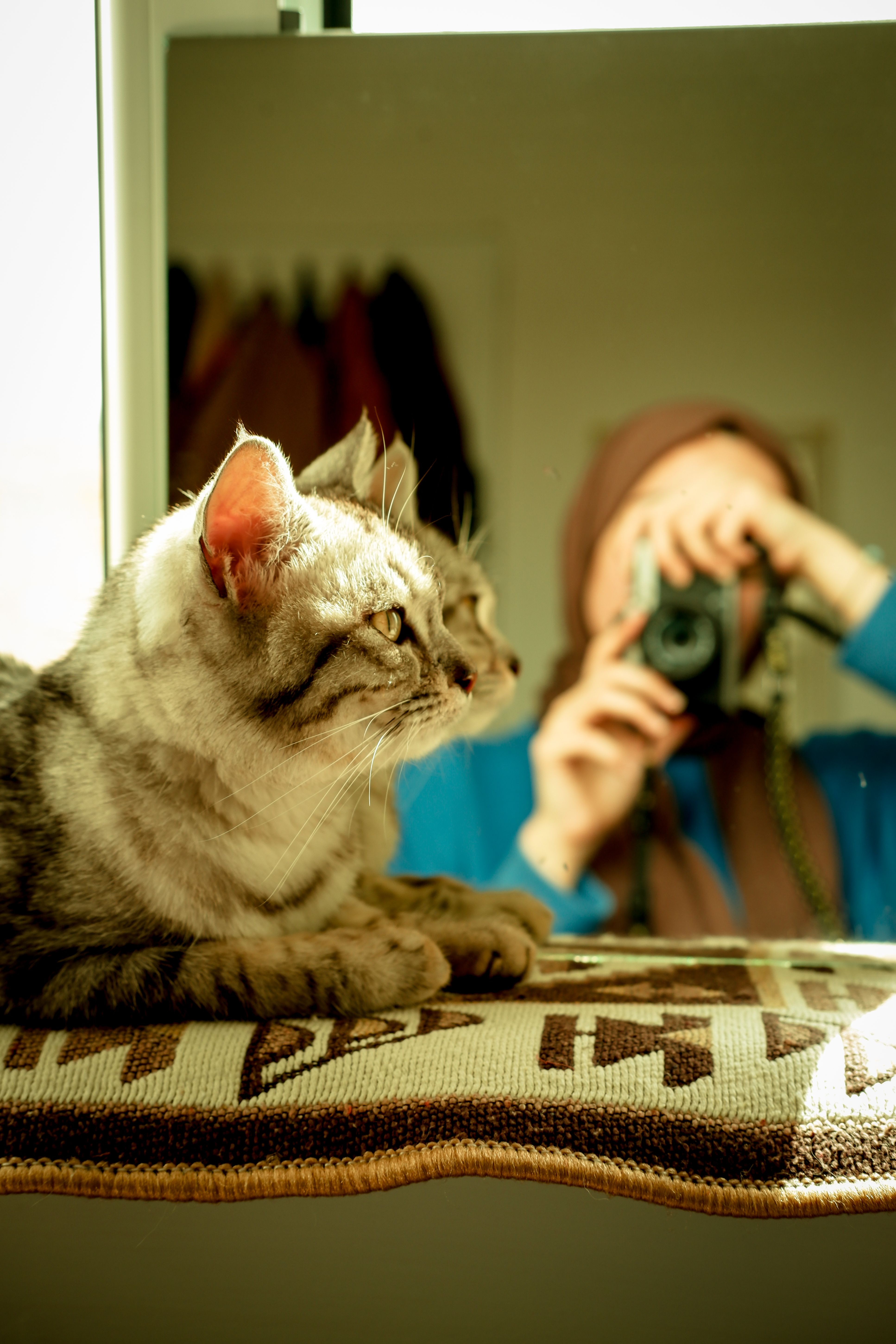 A cat and photographer captured in a unique mirror reflection setup.