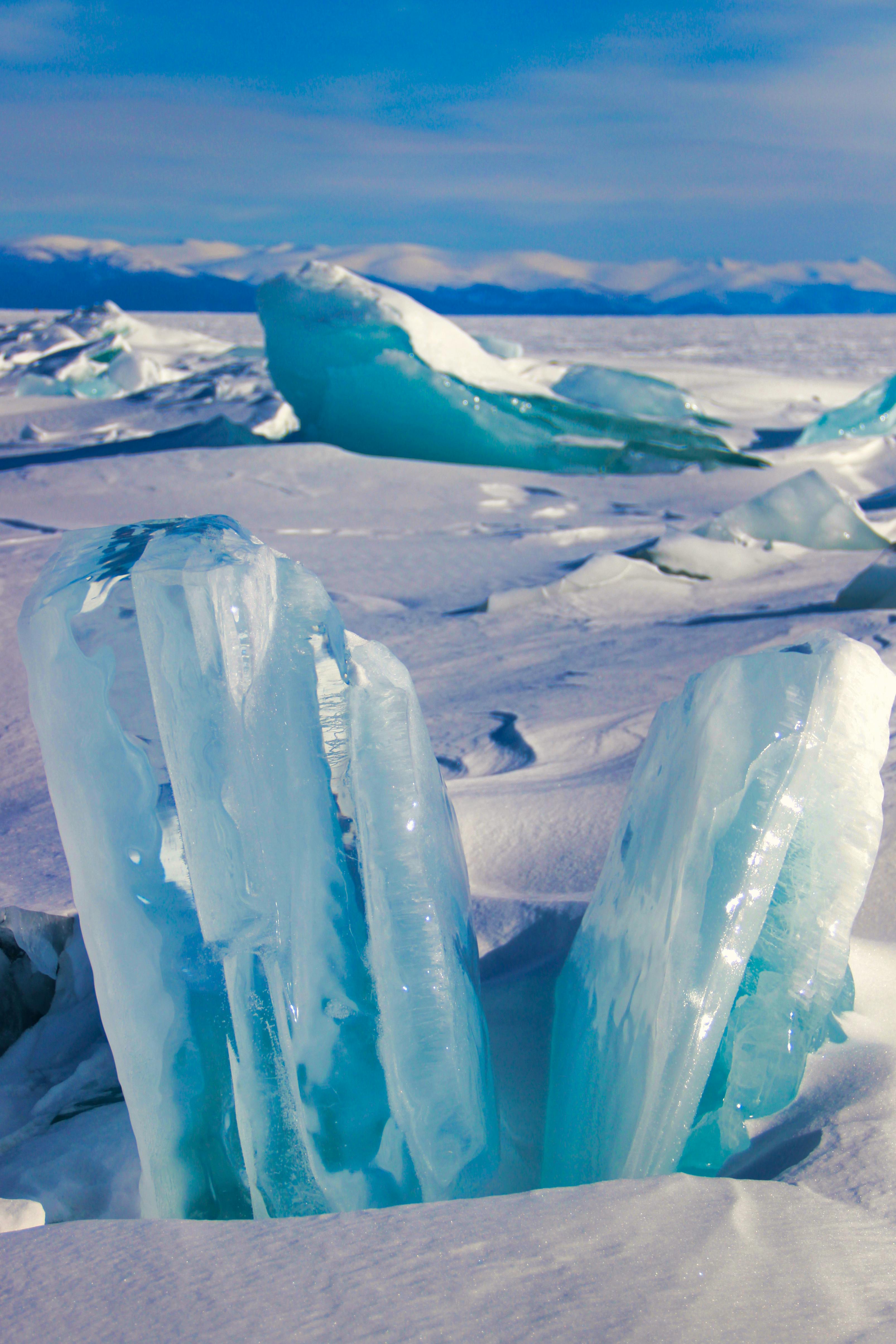 icebergs in the arctic ocean