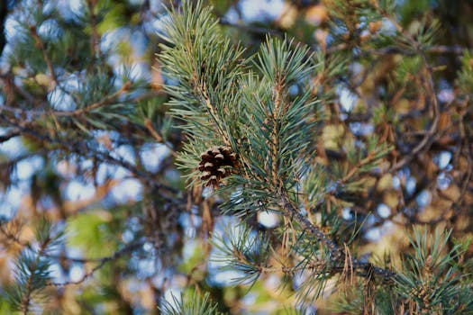 Image by Кирилл Абрамов