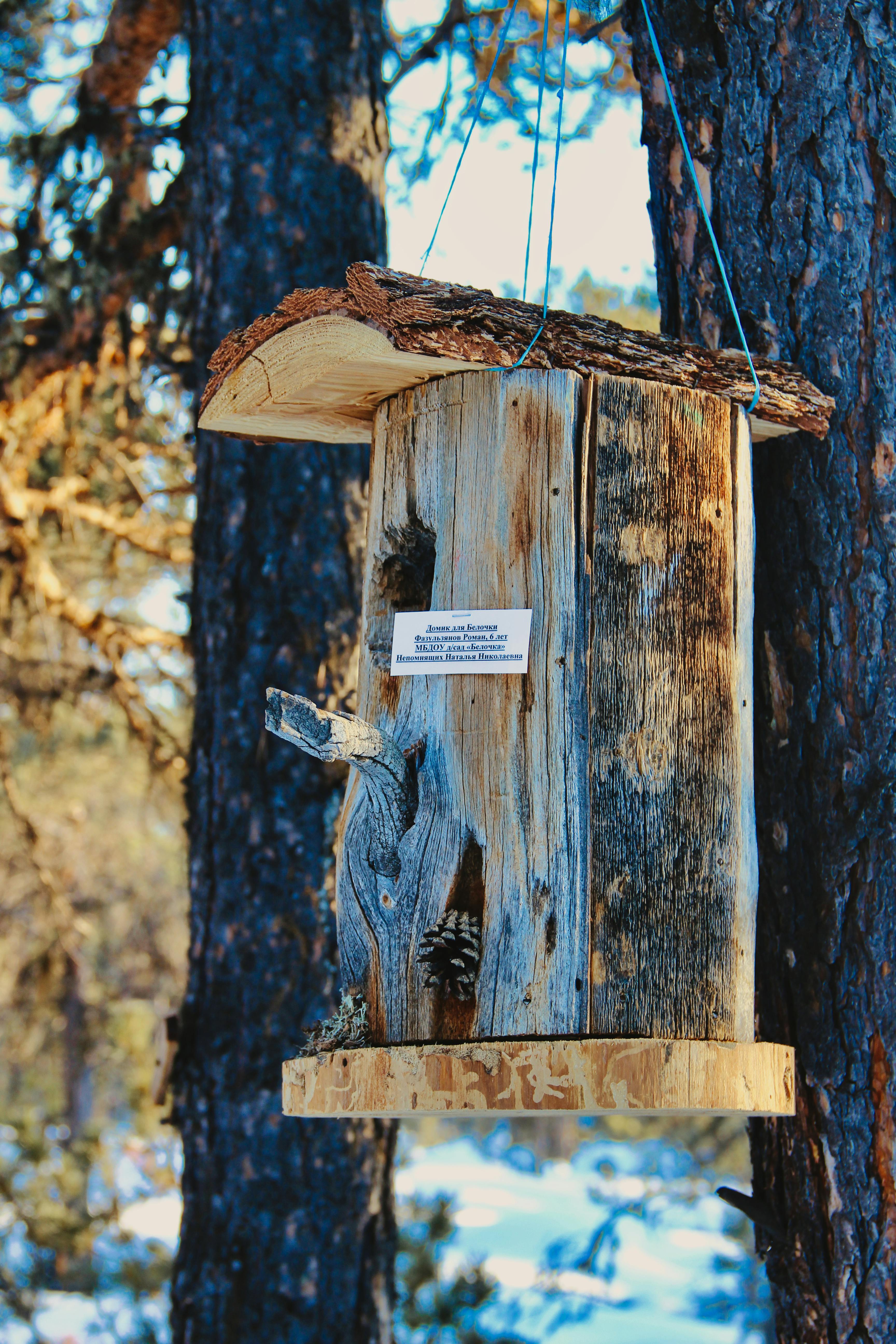 a birdhouse hanging from a tree in the woods