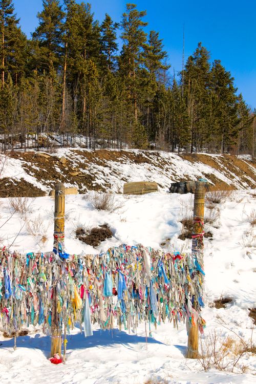 Free A vibrant display of prayer flags amidst a serene snowy winter forest. Stock Photo