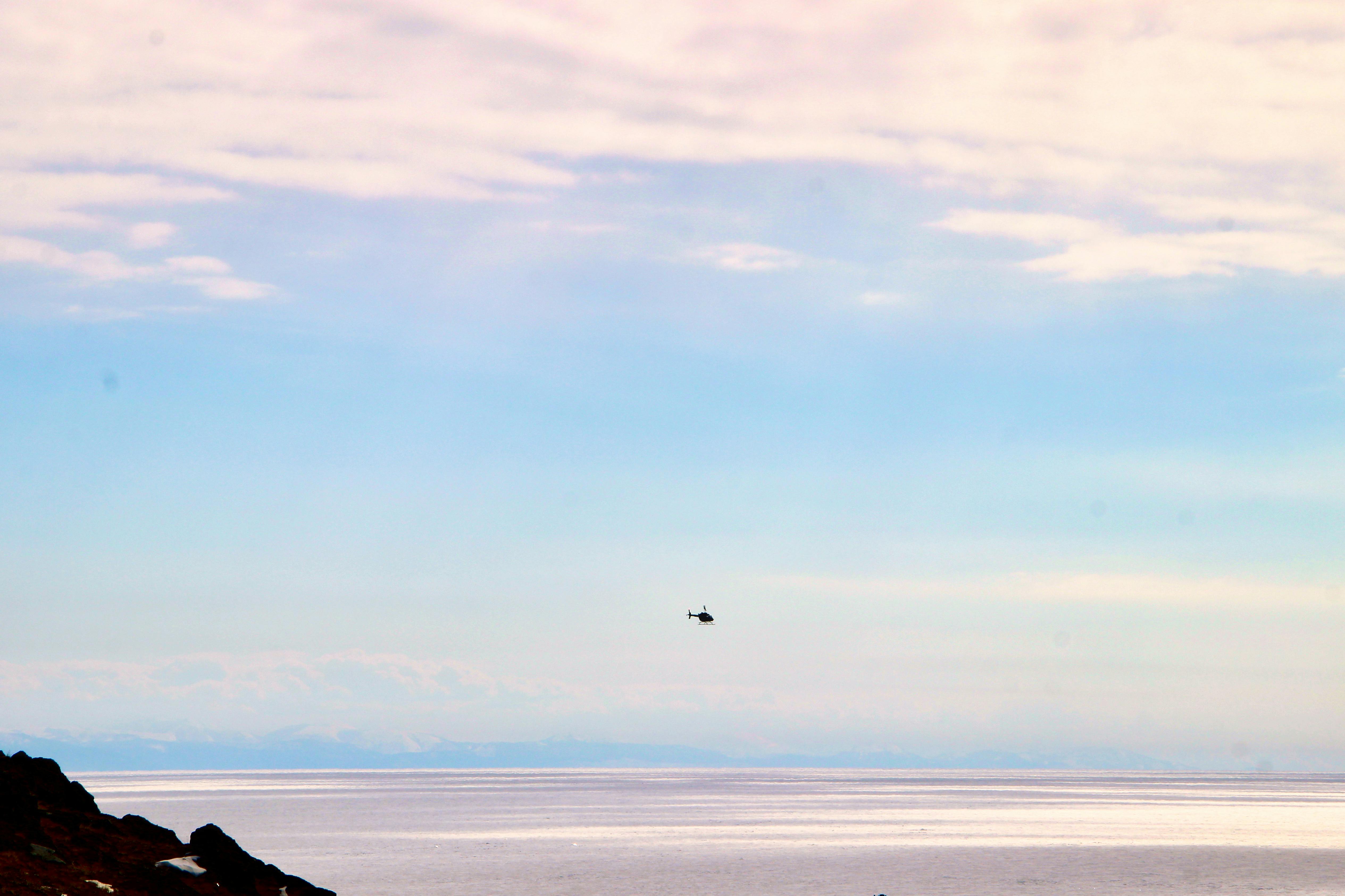 a bird flying over the ocean