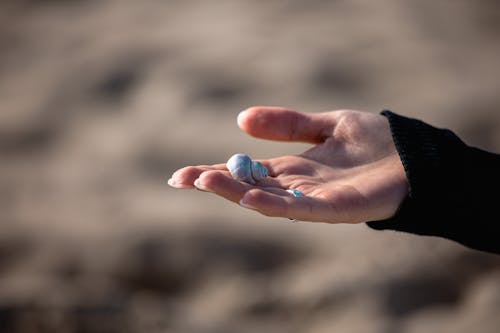 Close-up of Woman Holding Seashell on Palm