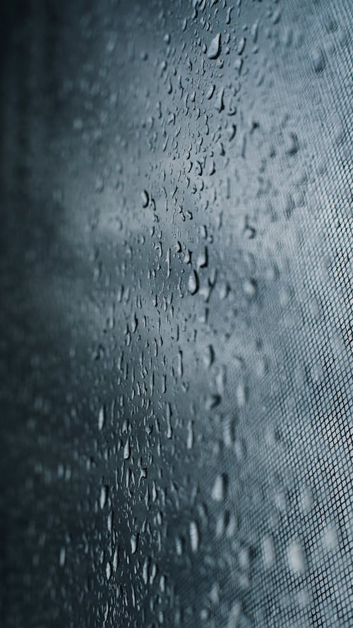 Darmowe zdjęcie z galerii z krople deszczu, krople wody, pionowy strzał