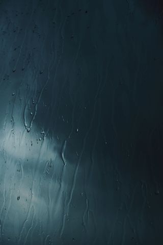 Cover art — photo by Darya Grey_Owl on Pexels