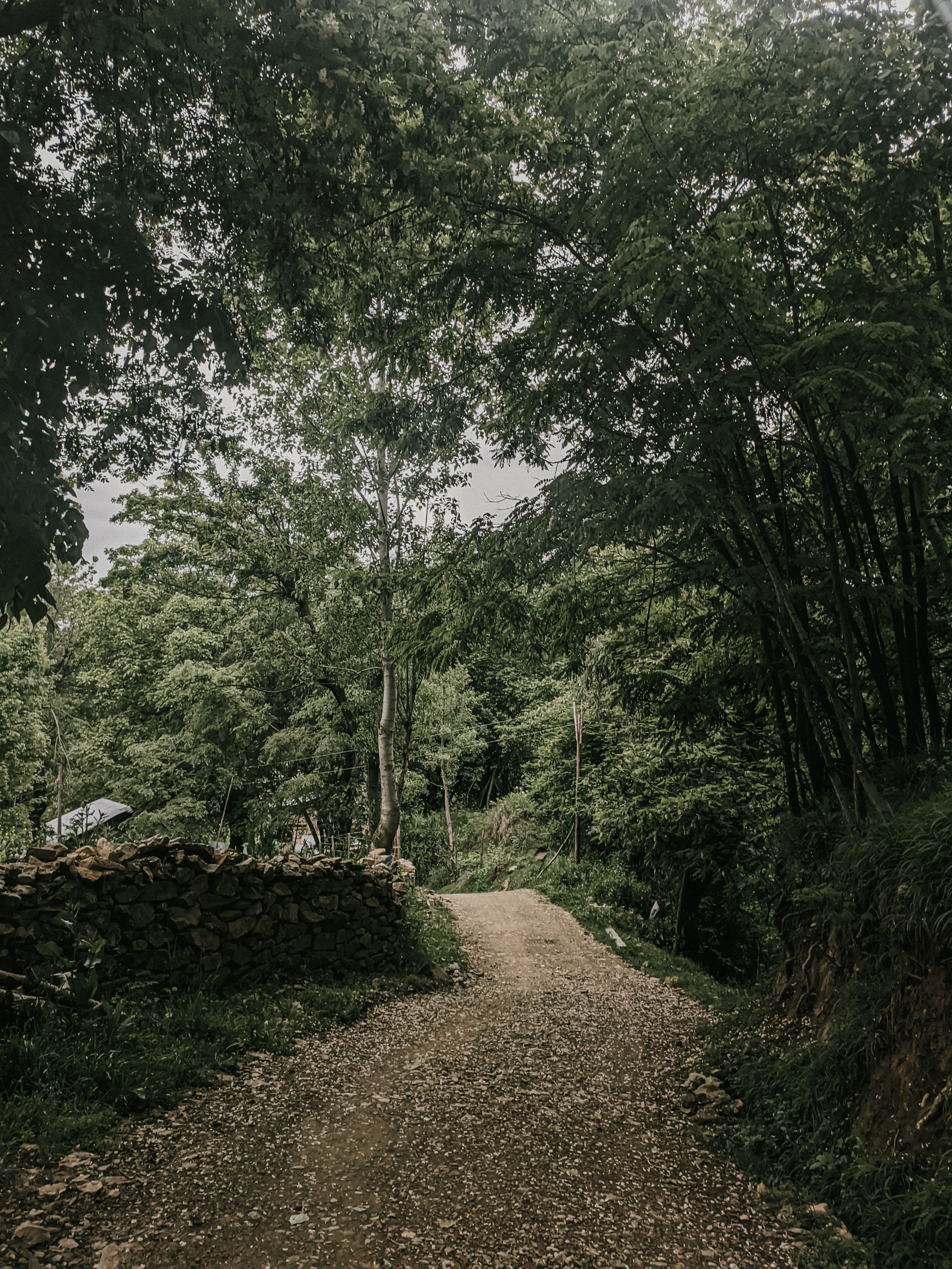 Beyond the Great Walks: Exploring New Zealand's Hiking Scene