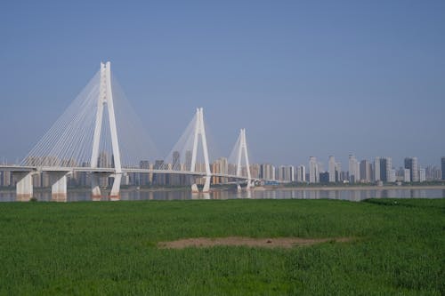 Modern Bridge and a City 