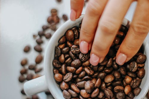 Close-up of Woman Touching Coffee Beans in a Mug 
