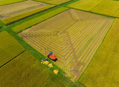 Aerial View of an Agricultural Vehicle on a Cropland 