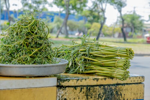 Ingyenes stockfotó munkaerő, Vietnam témában