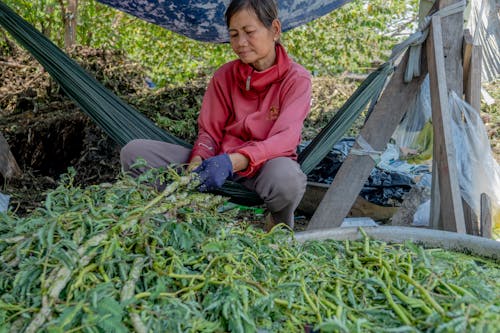 Ingyenes stockfotó munkaerő, Vietnam témában