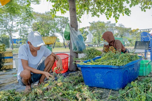 Ingyenes stockfotó munkaerő, Vietnam témában