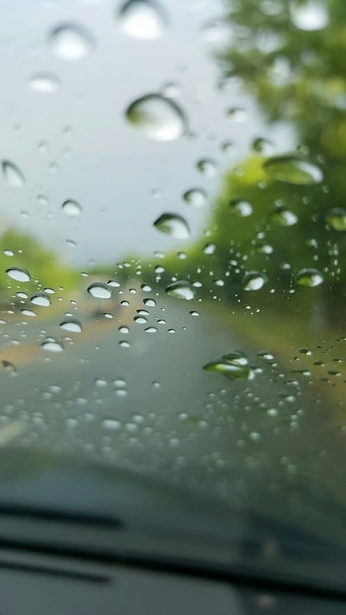 Free stock photo of rain, raining day