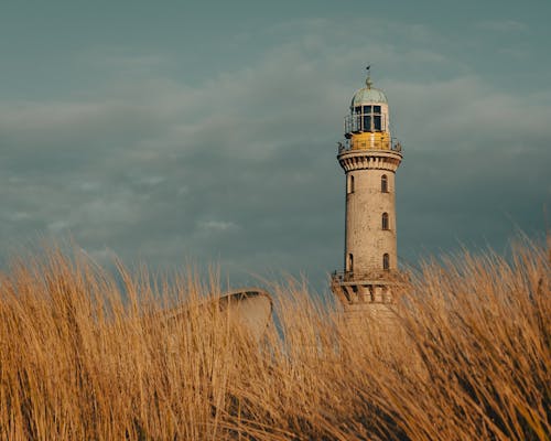 View of Dry Grass and the Warnemunde Lighthouse on the Coast of the Baltic Sea in Germany