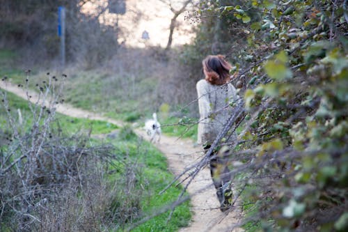 Free stock photo of dog, girl, green