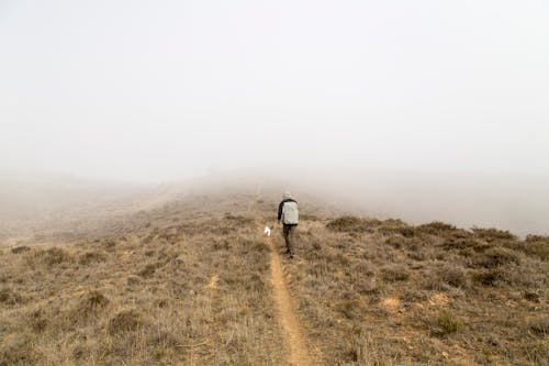 Free Man Walking on Top Hill Covered of Fog Stock Photo