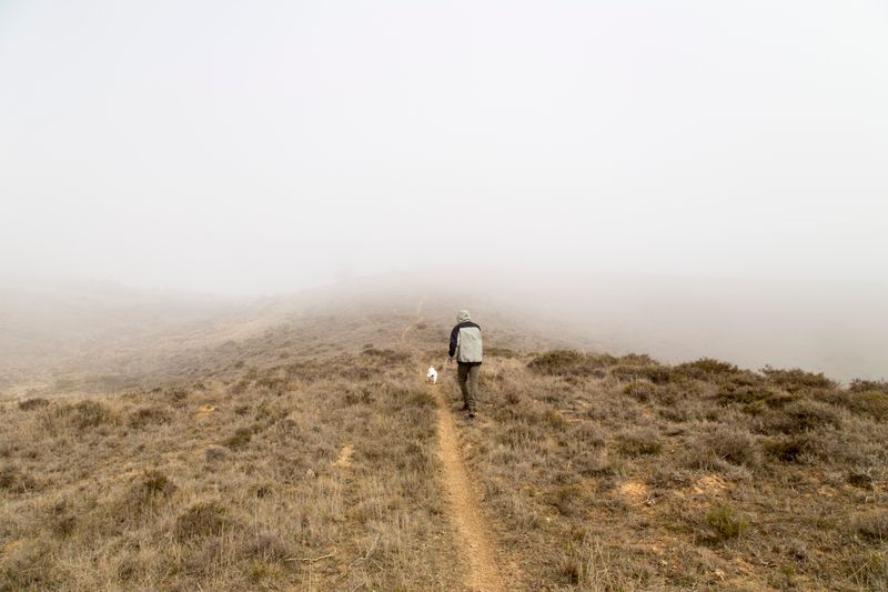 A lone hiker with a dog on a foggy trail through remote misty hills