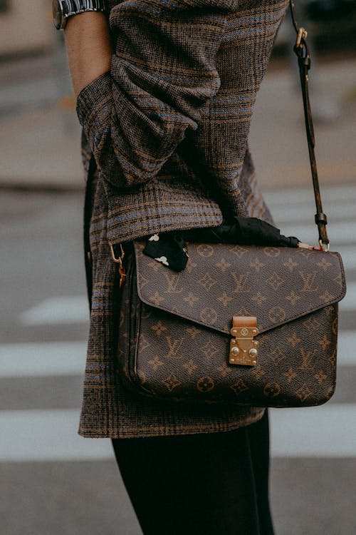 Close up of Woman Louis Vuitton Bag · Free Stock Photo