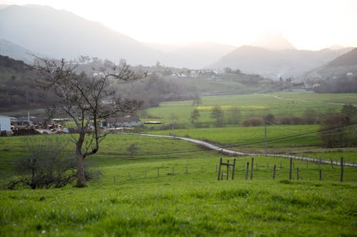 Foto stok gratis lansekap, latar belakang hijau, pegunungan