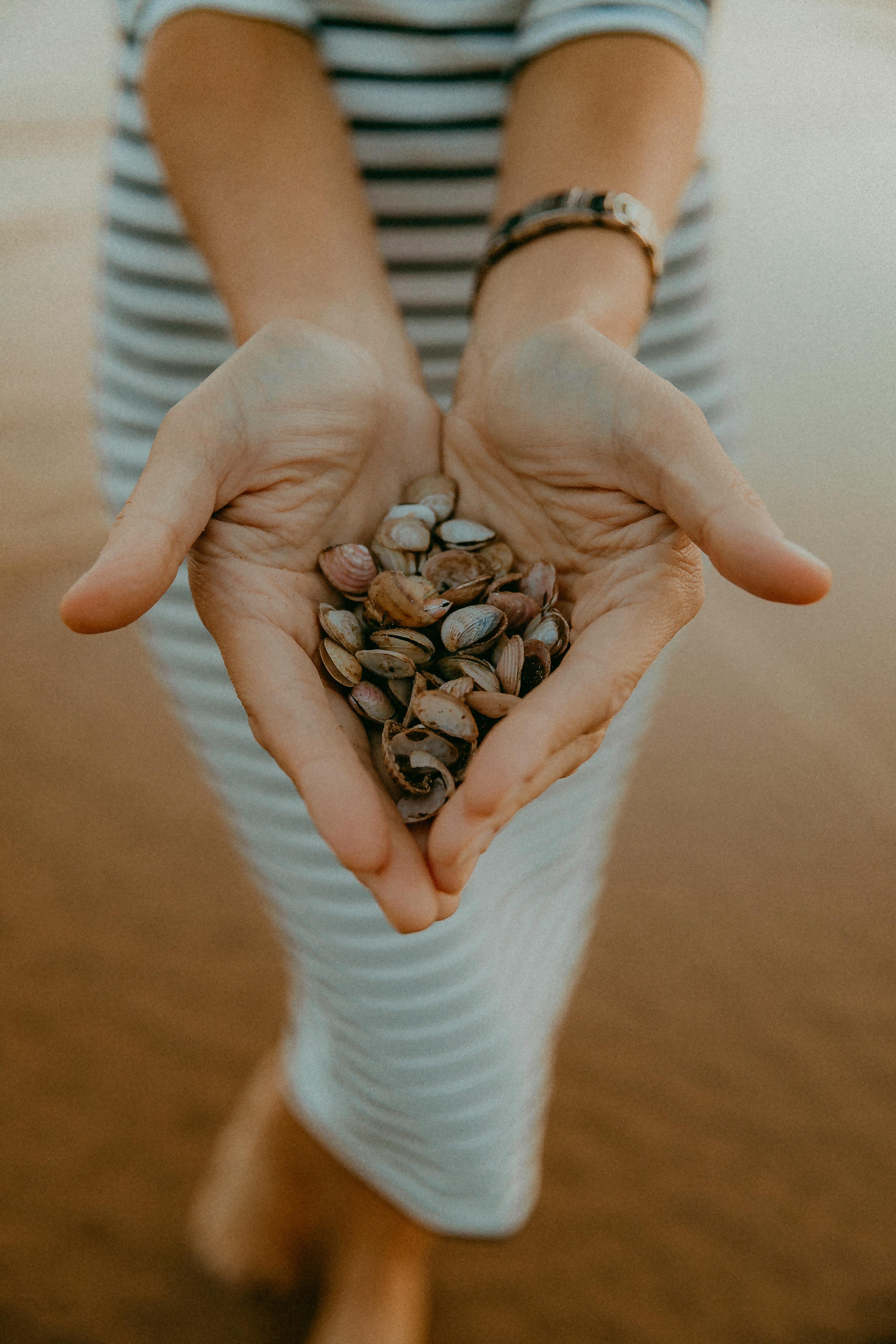 Woman holding seashells in hands, dressed in stripes, standing on sandy shore.