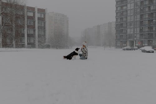Woman Playing with Dog in Snow in Town in Winter