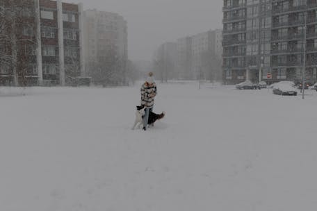 A woman enjoys playing with her dog amidst heavy snowfall in an urban winter environment.