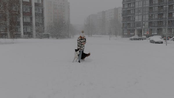 A woman enjoys playing with her dog amidst heavy snowfall in an urban winter environment.