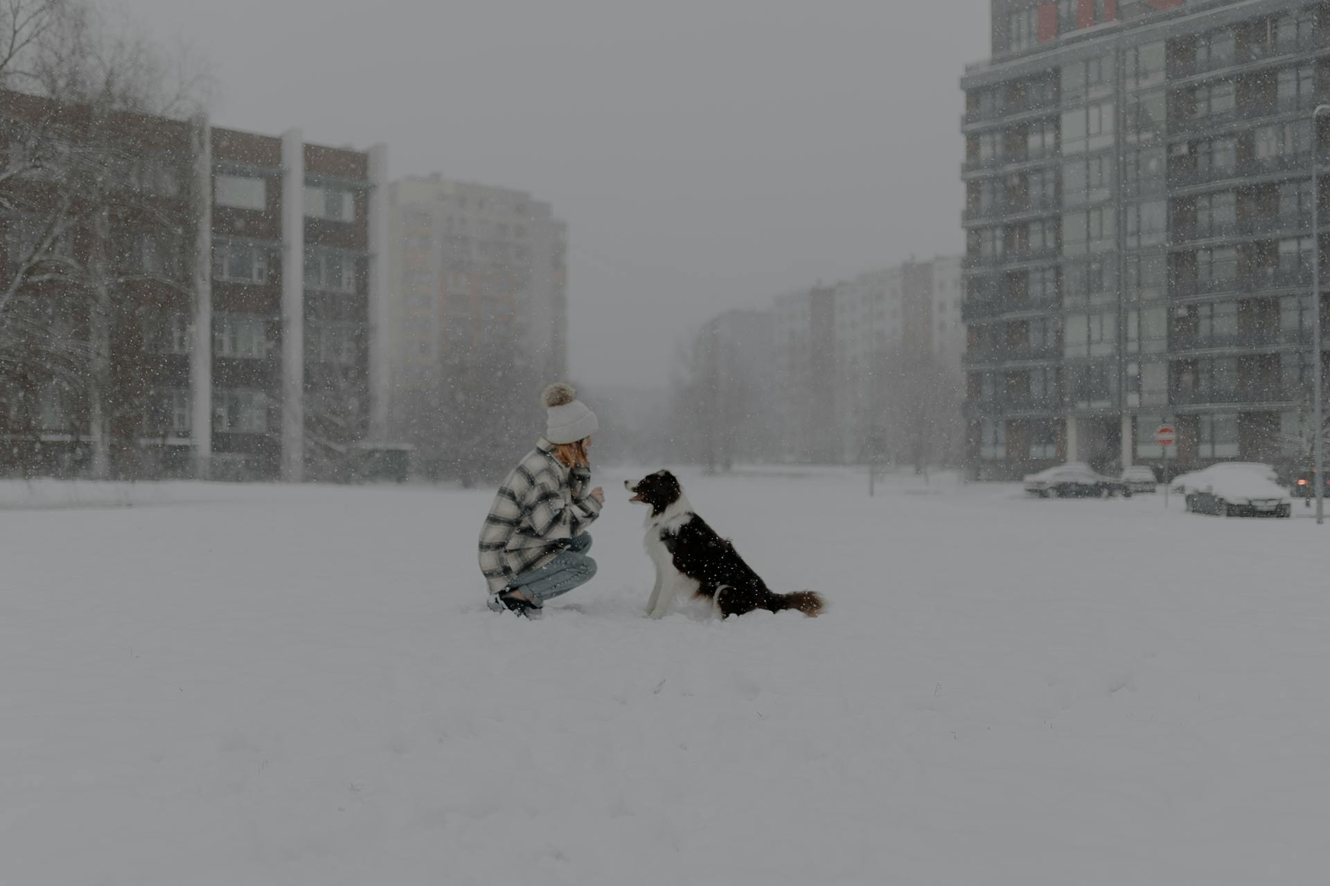 A Girl Playing with a Dog Outdoors in Winter