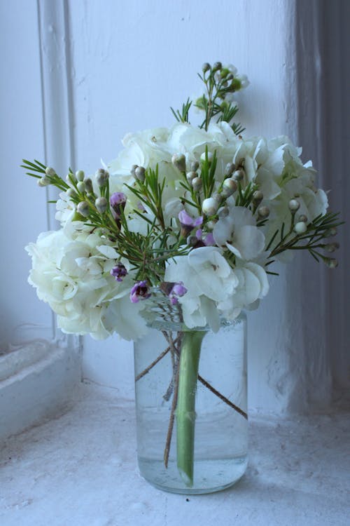 Flowers in Vase