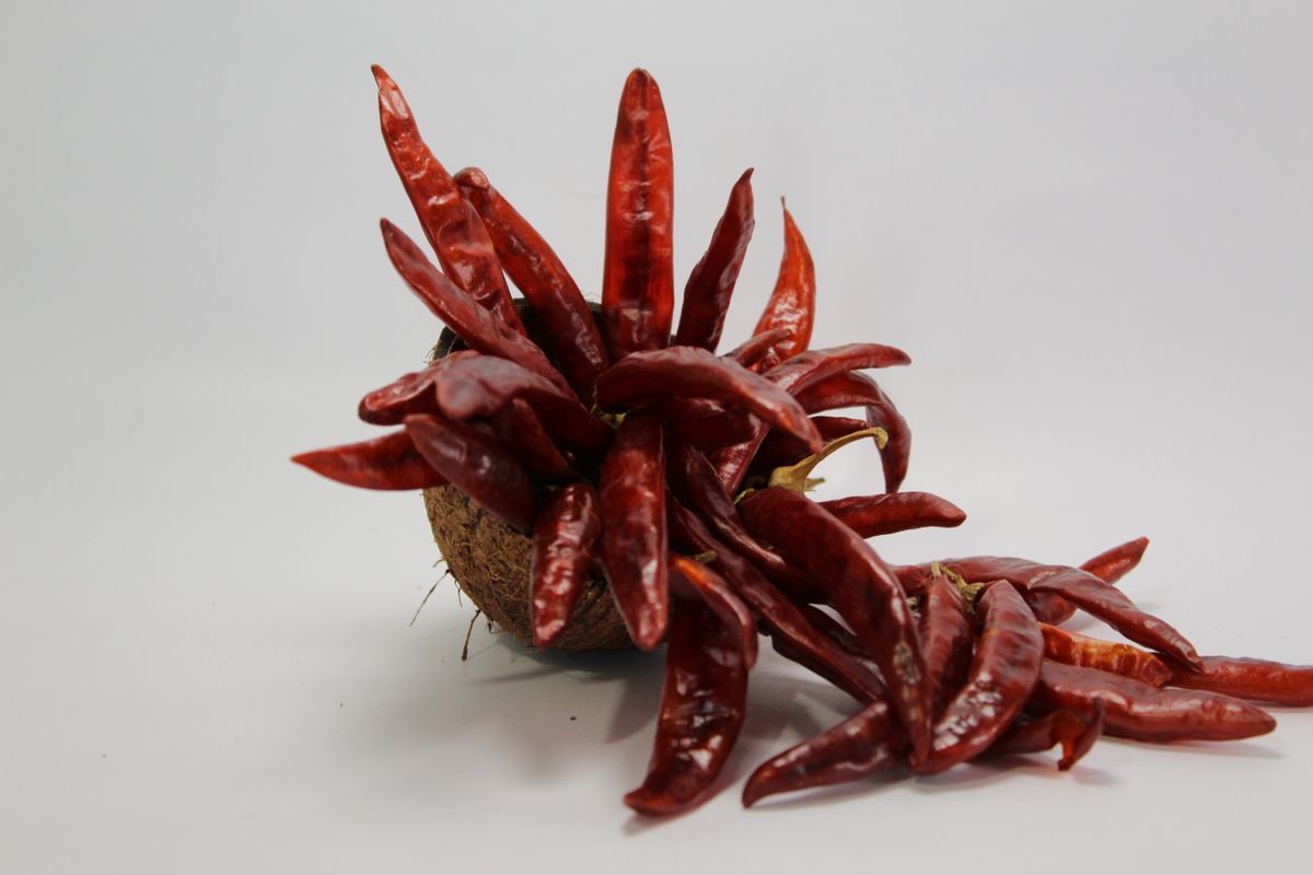 Dried red chilli