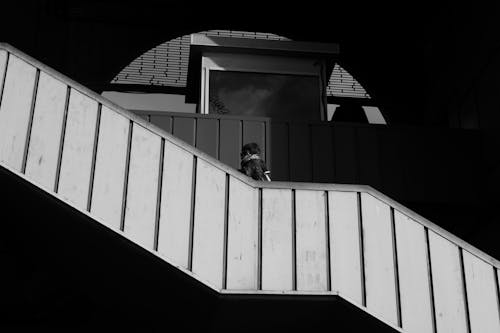 Immagine gratuita di architettura, bianco e nero, casa